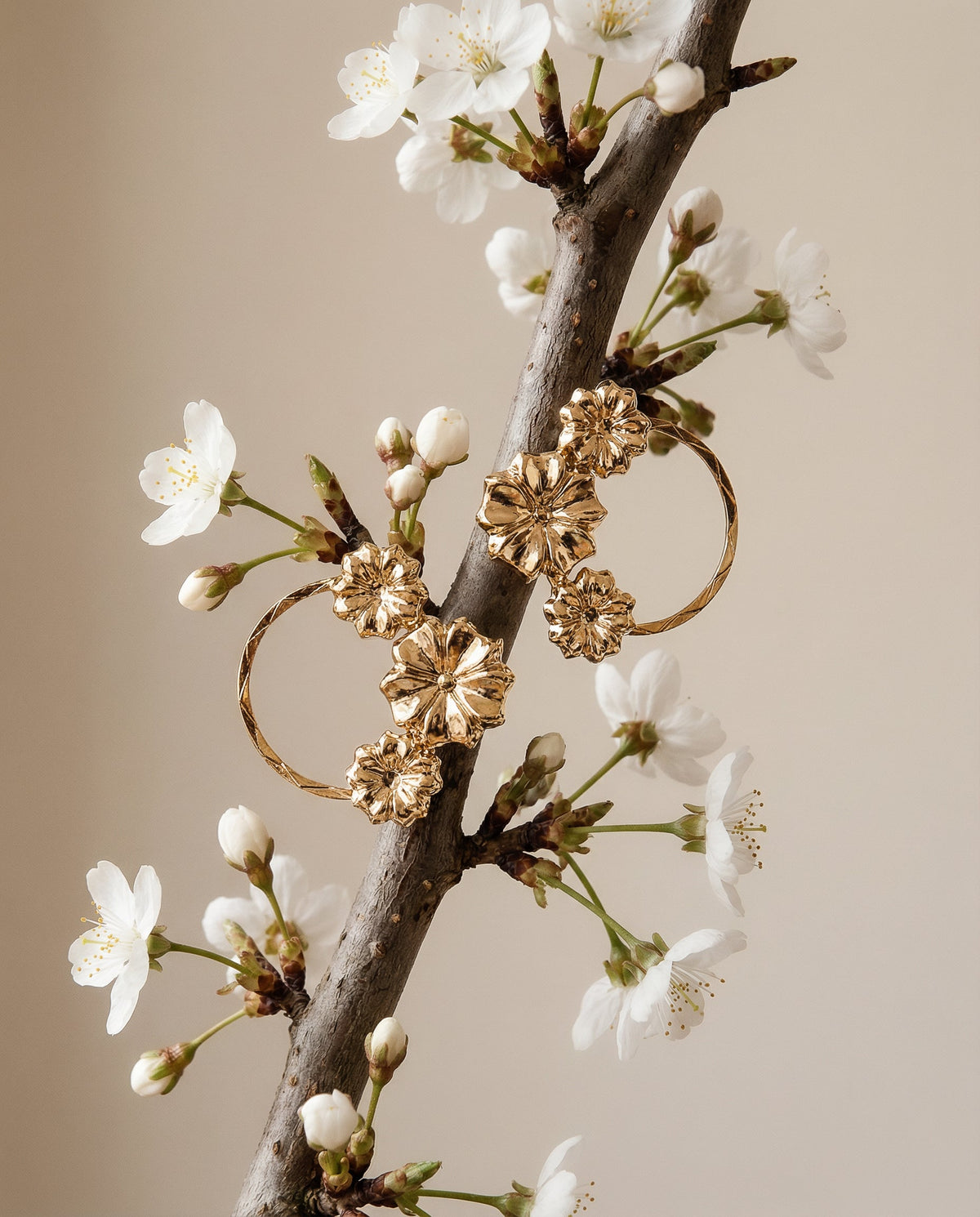 Boucles Sakura UN DE CES QUATRE